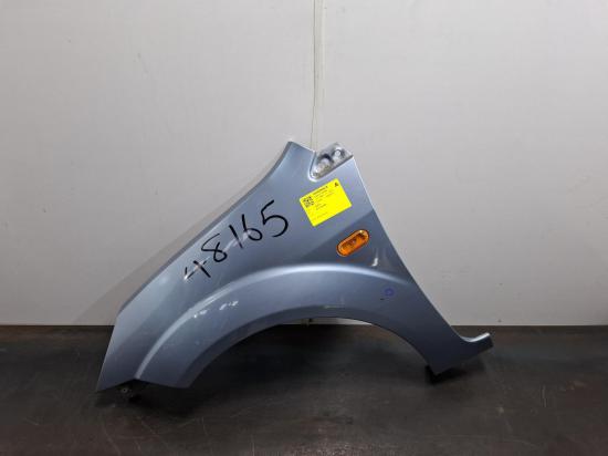 Fiesta Ford Fiesta — Left Guard
