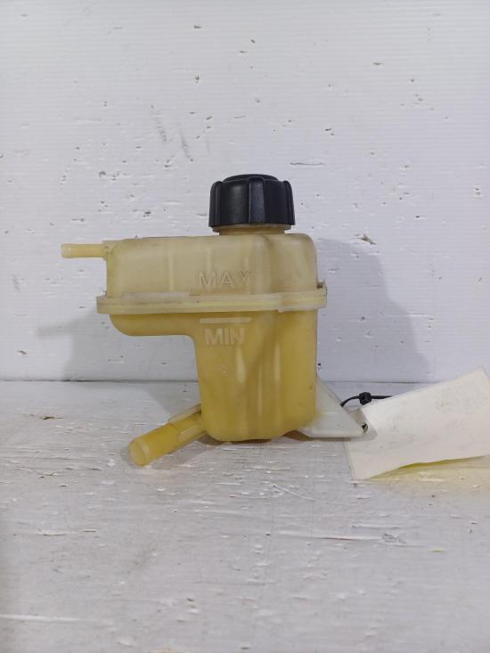 2010 Nissan Dualis — Overflow Bottle