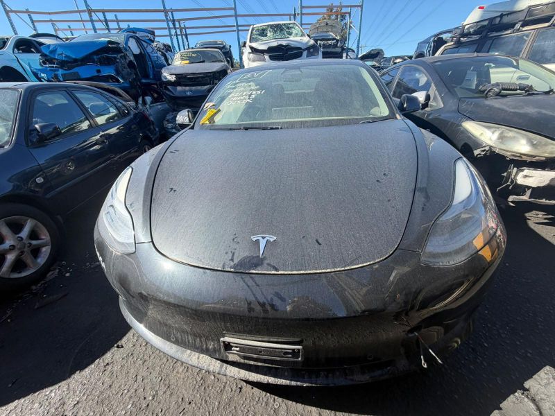 2023 Tesla Model 3 — Electric